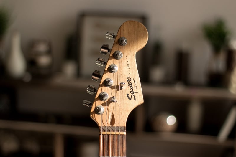 Guitarist