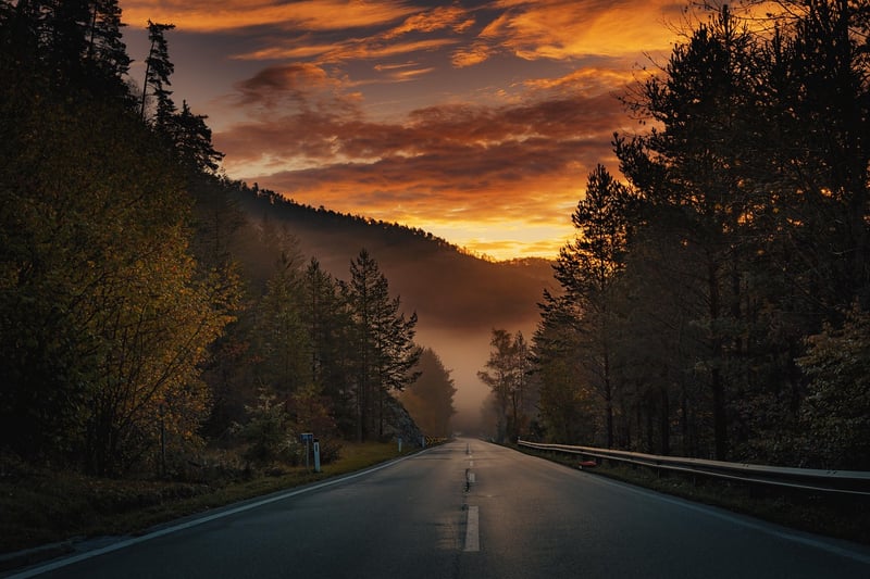 Road to Self-Evolution